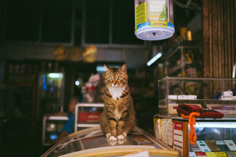 Pet store insurnace